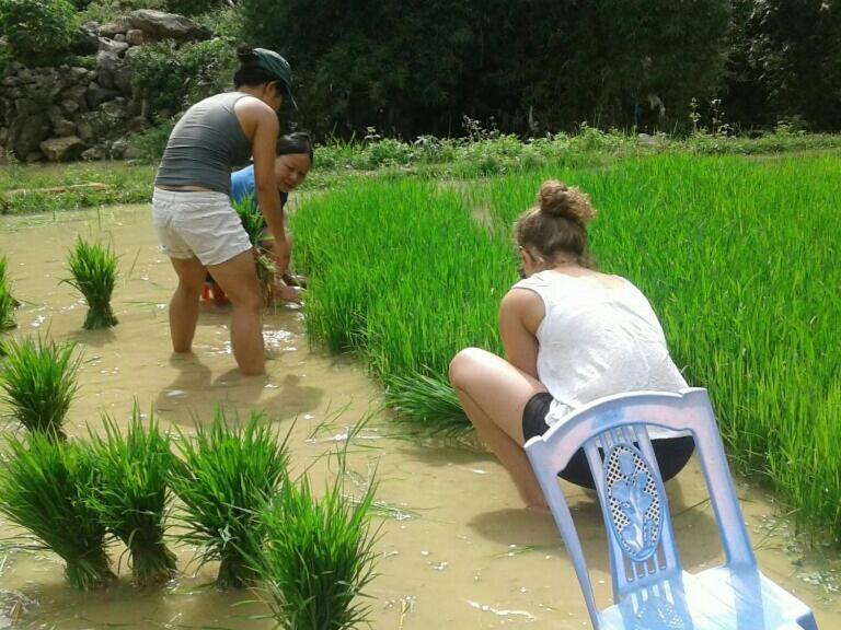 Yen Nhi Homestay Ban Gioc Cao Bang Exteriör bild